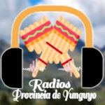 Logo of RADIOS DE YUNGUYO android Application 